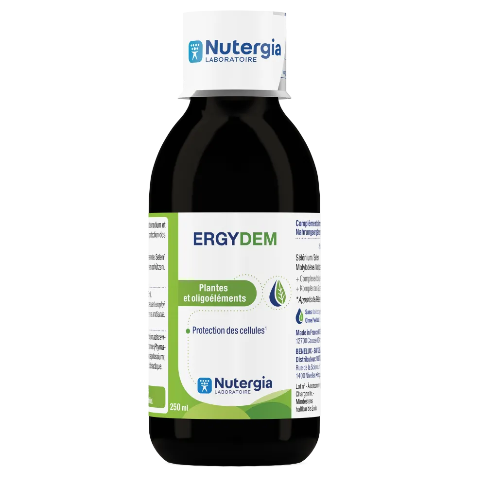 ERGYDEM